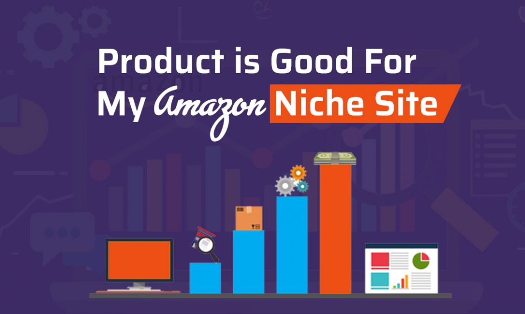 Amazon Affiliate Niche Sites