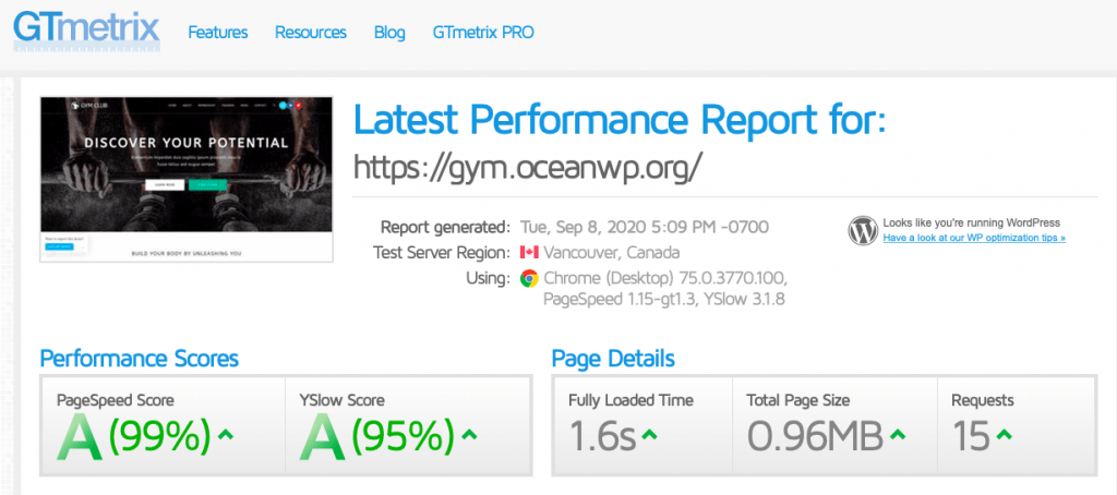 ocean wp speed test